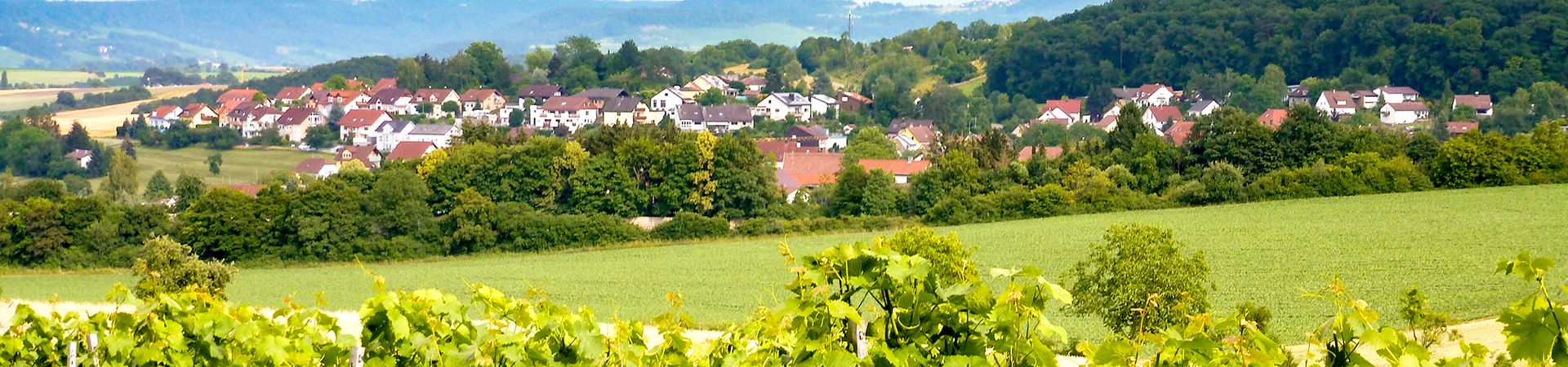 Ortsverein: LandFrauen Dimbach - Landfrauen Hohenlohe