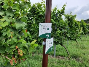 Wanderweg Heuholz