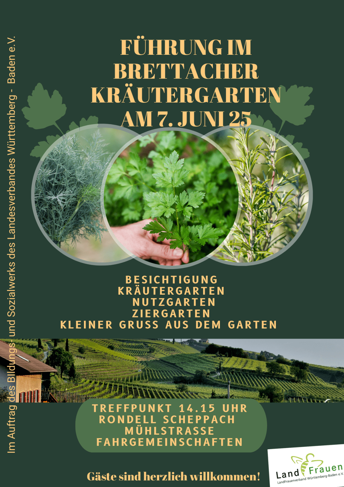 Führung im Kräutergarten (4)